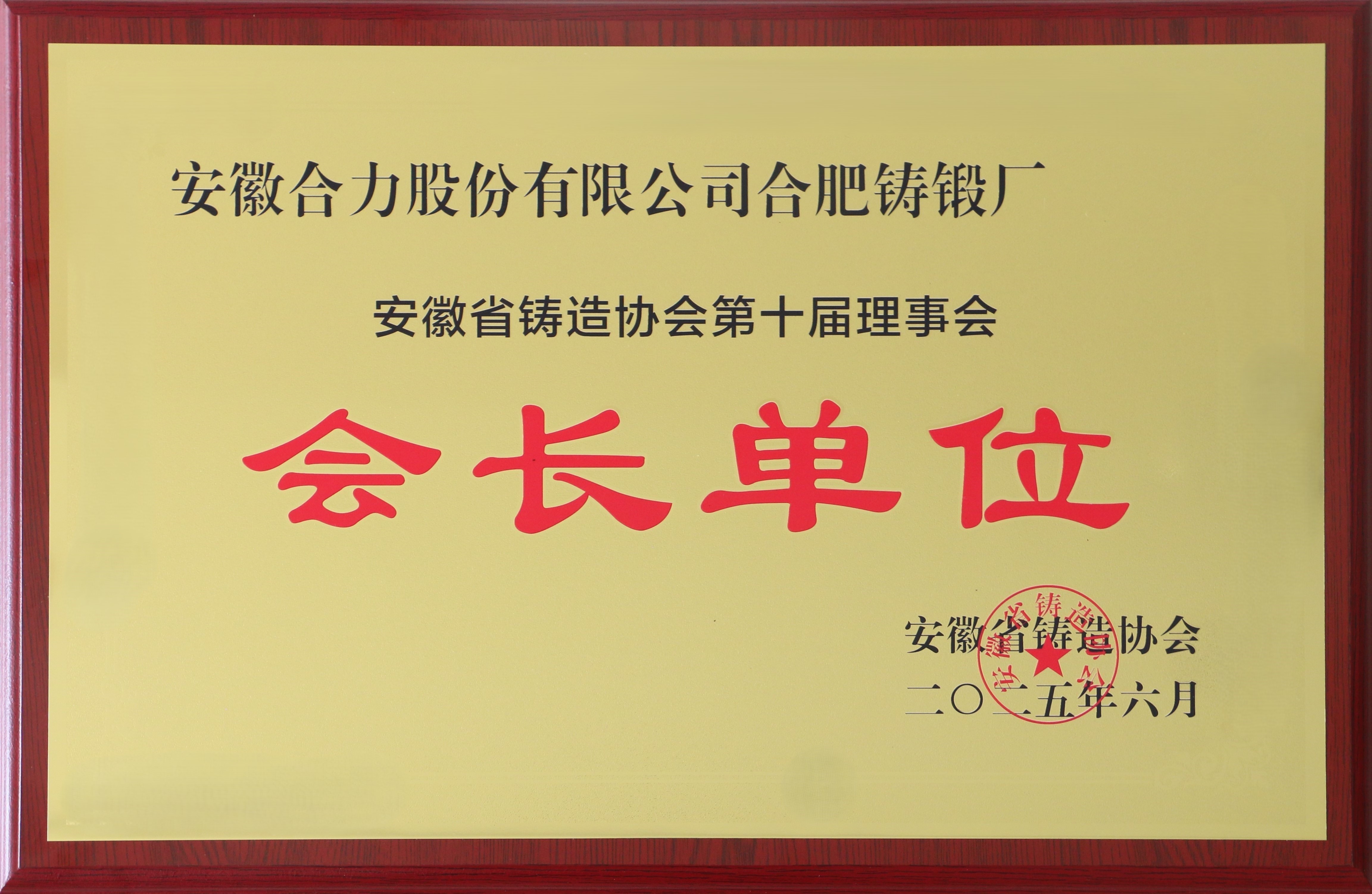 安徽省鑄造協(xié)會(huì)第十屆會(huì)長單位.jpg